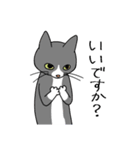 T-CATSスタンプ（個別スタンプ：13）