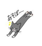 T-CATSスタンプ（個別スタンプ：14）