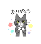 T-CATSスタンプ（個別スタンプ：16）