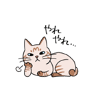 T-CATSスタンプ（個別スタンプ：17）