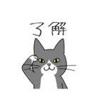 T-CATSスタンプ（個別スタンプ：18）