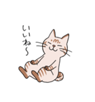 T-CATSスタンプ（個別スタンプ：19）