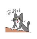 T-CATSスタンプ（個別スタンプ：20）