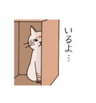 T-CATSスタンプ（個別スタンプ：25）