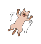 T-CATSスタンプ（個別スタンプ：26）