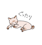 T-CATSスタンプ（個別スタンプ：27）
