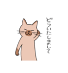 T-CATSスタンプ（個別スタンプ：28）