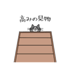 T-CATSスタンプ（個別スタンプ：29）
