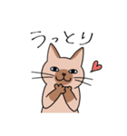 T-CATSスタンプ（個別スタンプ：30）