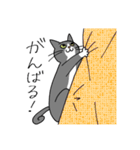 T-CATSスタンプ（個別スタンプ：32）