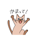 T-CATSスタンプ（個別スタンプ：33）