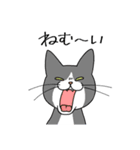 T-CATSスタンプ（個別スタンプ：34）
