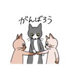 T-CATSスタンプ（個別スタンプ：36）