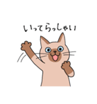 T-CATSスタンプ（個別スタンプ：38）