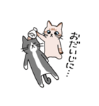 T-CATSスタンプ（個別スタンプ：39）