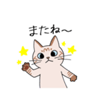 T-CATSスタンプ（個別スタンプ：40）