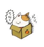 ねこのねこすけスタンプ（個別スタンプ：19）