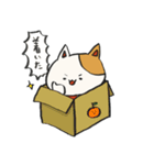 ねこのねこすけスタンプ（個別スタンプ：20）