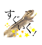 むぎぐらし つよめ（個別スタンプ：3）