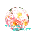 Flower Rose（個別スタンプ：1）