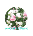 Flower Rose（個別スタンプ：3）