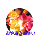 Flower Rose（個別スタンプ：6）