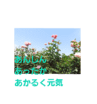 Flower Rose（個別スタンプ：8）