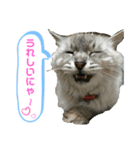 ♡かわいこちゃん♡（個別スタンプ：3）