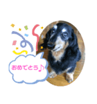♡かわいこちゃん♡（個別スタンプ：4）