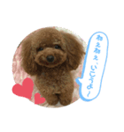 ♡かわいこちゃん♡（個別スタンプ：5）