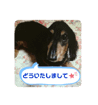 ♡かわいこちゃん♡（個別スタンプ：6）
