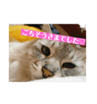 ♡かわいこちゃん♡（個別スタンプ：7）