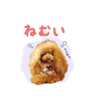 ぷりまのスタンプ（個別スタンプ：7）