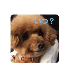 mocoの1日 その3（個別スタンプ：7）