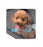 mocoの1日 その3（個別スタンプ：8）