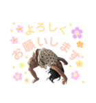 SMILE＆YOSHINOスタンプ（個別スタンプ：3）