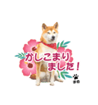 まめちゃん第1弾（個別スタンプ：2）