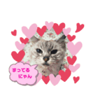 ♡らぶりー♡（個別スタンプ：5）