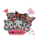 沙羅＆美紀ファミのフェレワンスタンプだぉ（個別スタンプ：11）