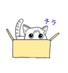 煽るねこ（個別スタンプ：7）