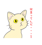 煽るねこ（個別スタンプ：9）