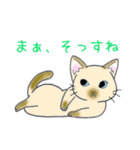 煽るねこ（個別スタンプ：11）