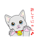 煽るねこ（個別スタンプ：20）