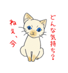 煽るねこ（個別スタンプ：27）