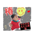 つばきスタンプ4（個別スタンプ：7）