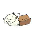へそ猫スタンプ_ver.1（個別スタンプ：6）