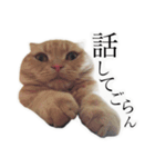 まるおくんスタンプ3（個別スタンプ：2）