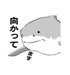 映画好きのためのサメスタンプ 年末年始（個別スタンプ：3）