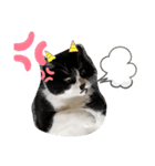 ねこたち。②（個別スタンプ：8）