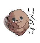チャイプーとシロプー（個別スタンプ：1）
